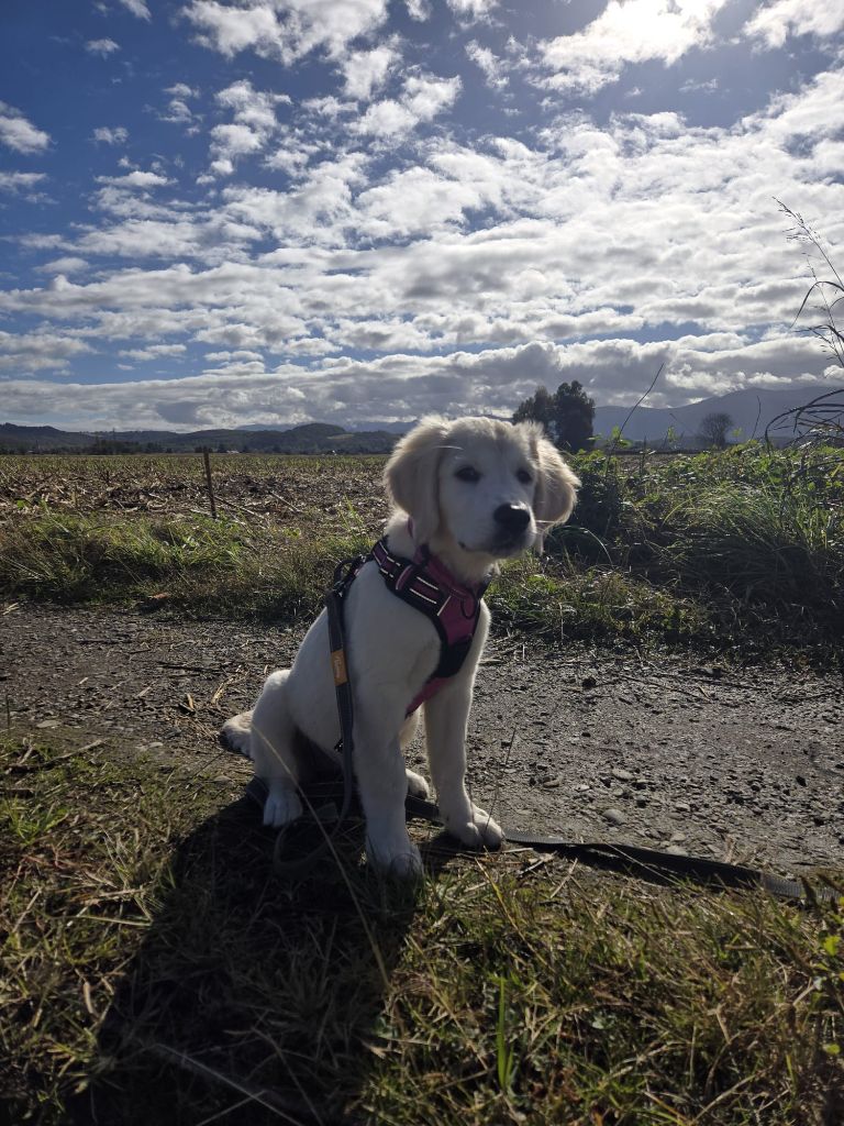 Une nouvelle aventure avec notre "Happy"